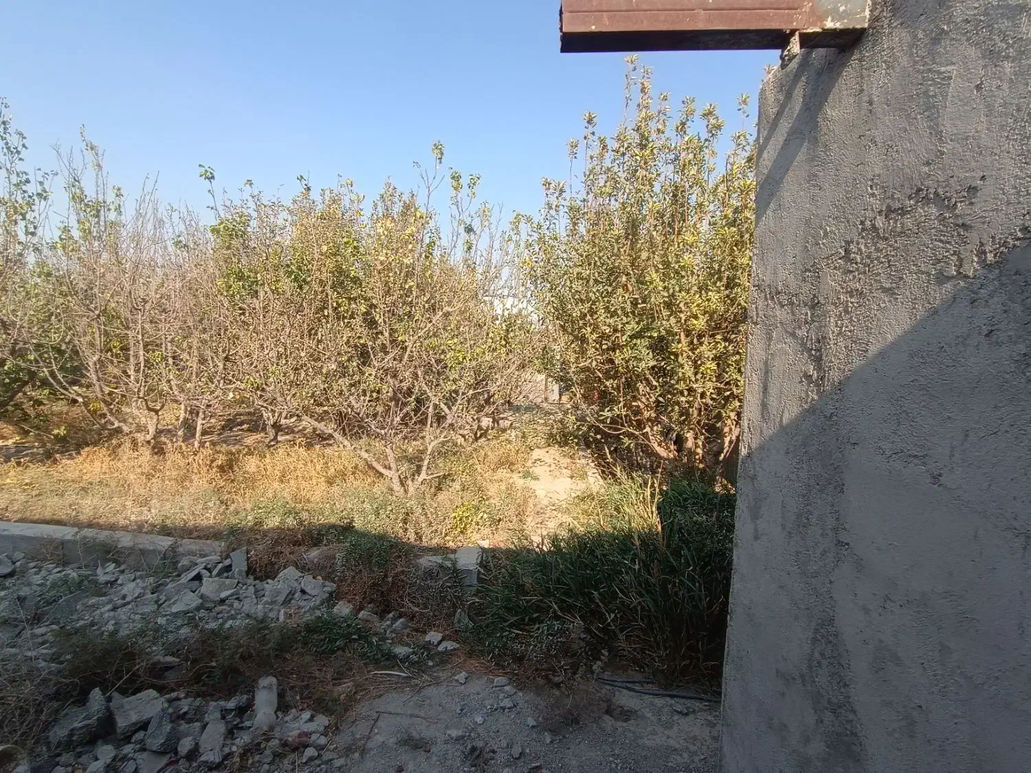 باغ نقلی چهار دیواری دیواربالای 5سال|فروش زمین و ملک کلنگی|صباشهر, |دیوار