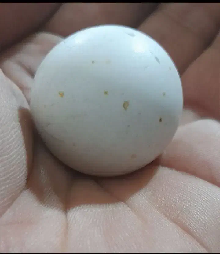 سنگ الماس آسیاب|جواهرات|خسروشاه, |دیوار