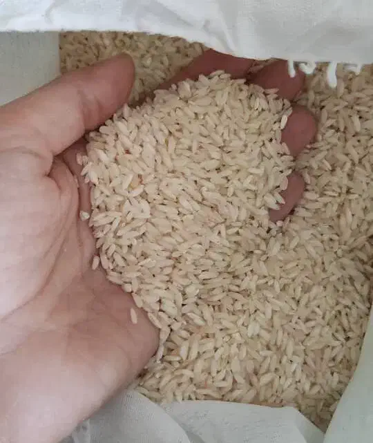 برنج عنبر بو|خوردنی و آشامیدنی|ایلام, |دیوار