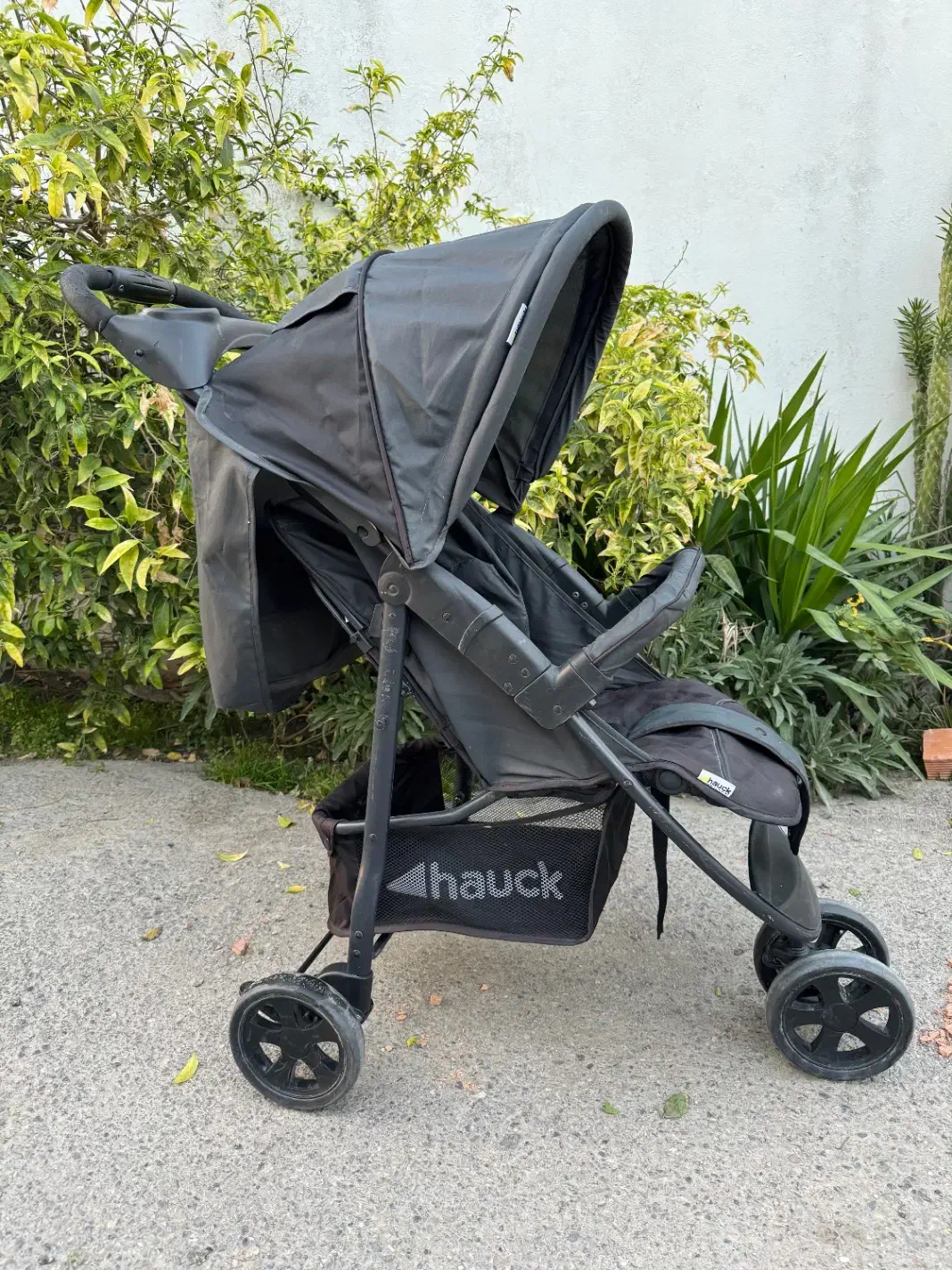 کالسکه|کالسکه و لوازم جانبی|ساری, |دیوار