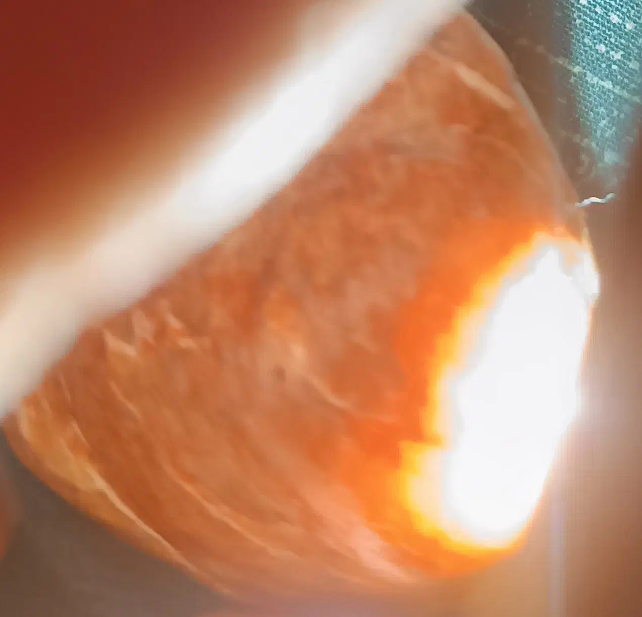 تعدادسنگهای قیمتی عقیق وجاس وشجر.ومشکوک ب شهاب|کلکسیون اشیاء عتیقه|شال, |دیوار