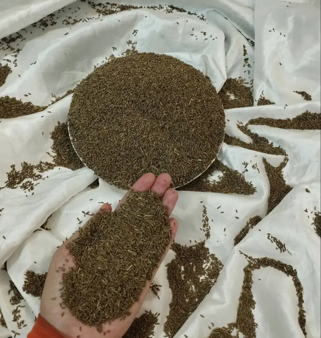 پسته . زیره . گلرنگ . گندم . کوداوره|خدمات باغبانی و درختکاری|خرامه, |دیوار