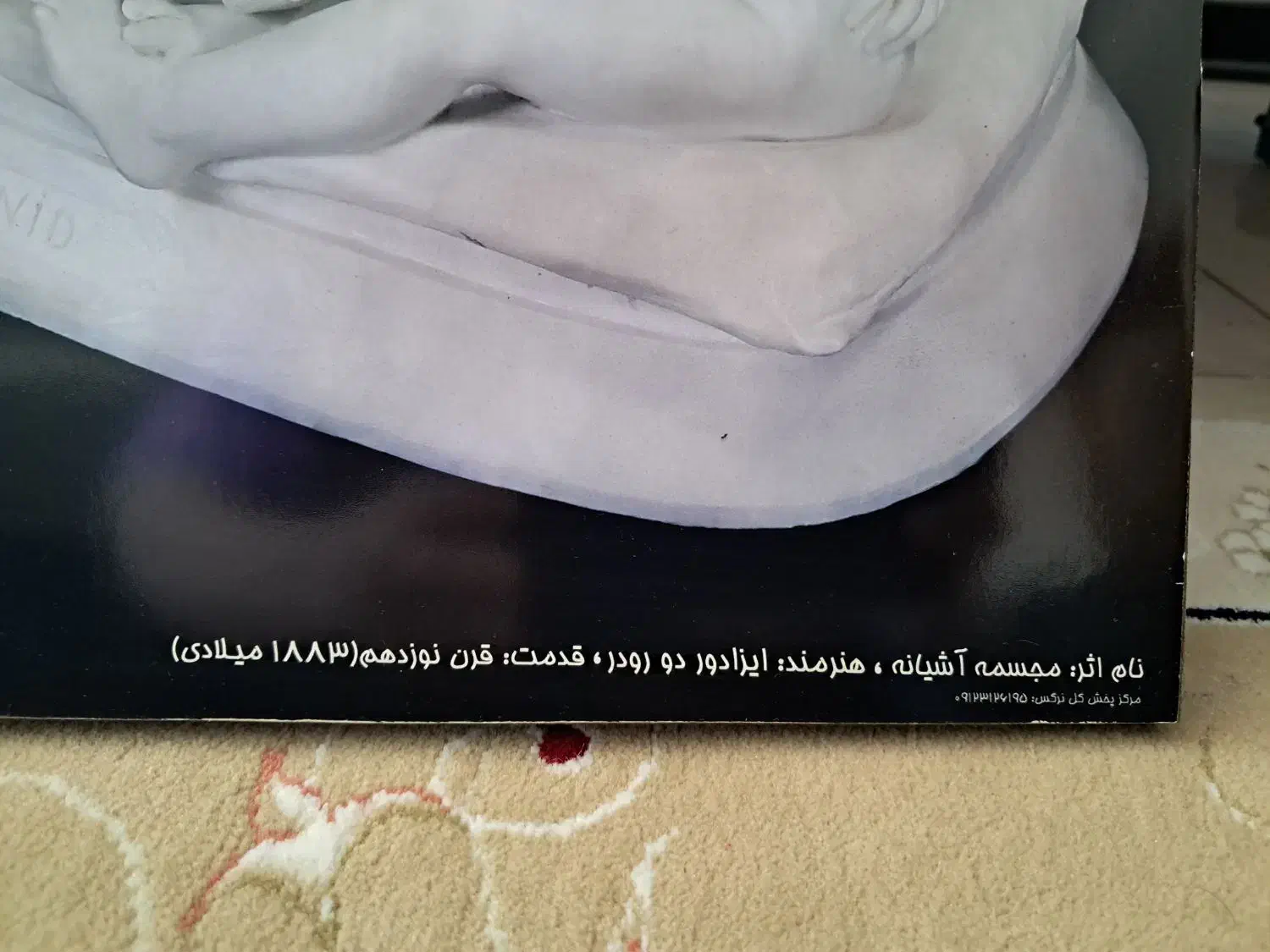 تابلو هنری مجسمه آشیانه|تابلو، نقاشی، عکس|شیراز, شهرک گلستان|دیوار