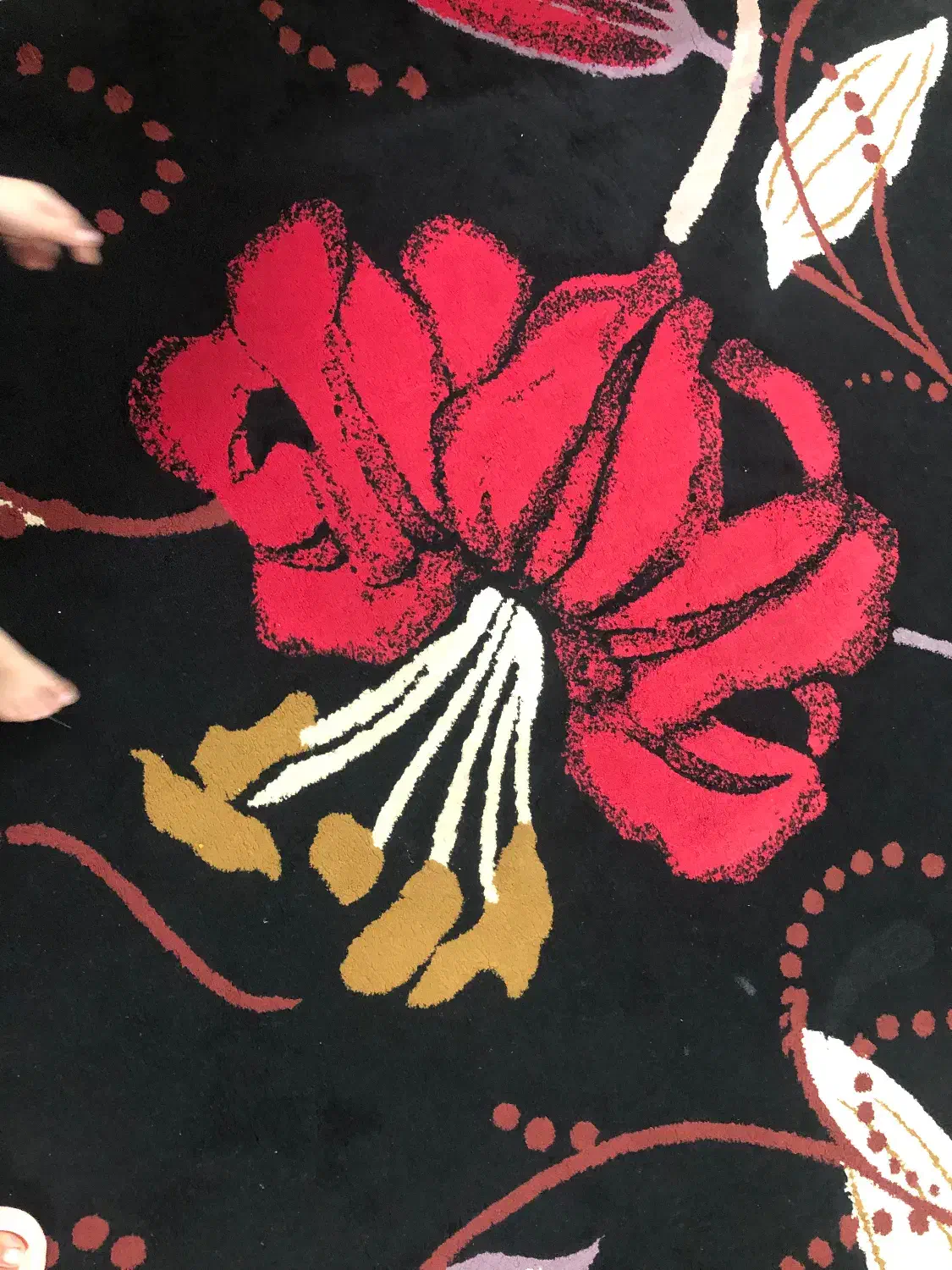 فرش ۶ متری|فرش|لنگرود, |دیوار