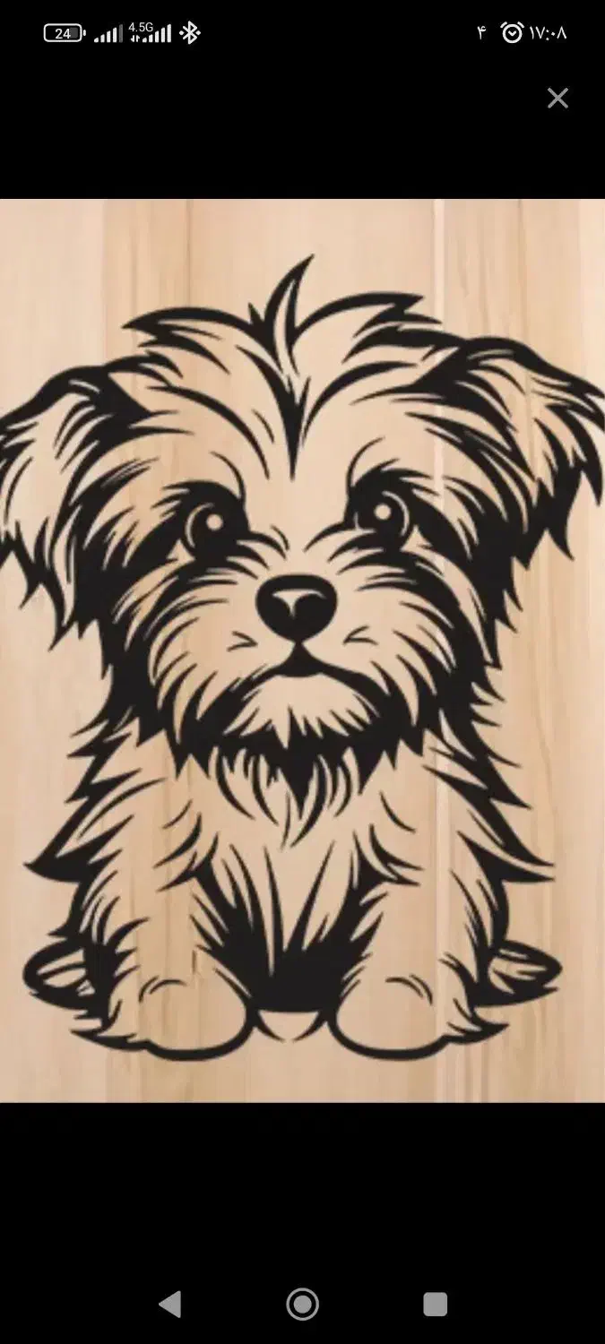 سگ پیدا شده|حیوانات|تبریز, |دیوار