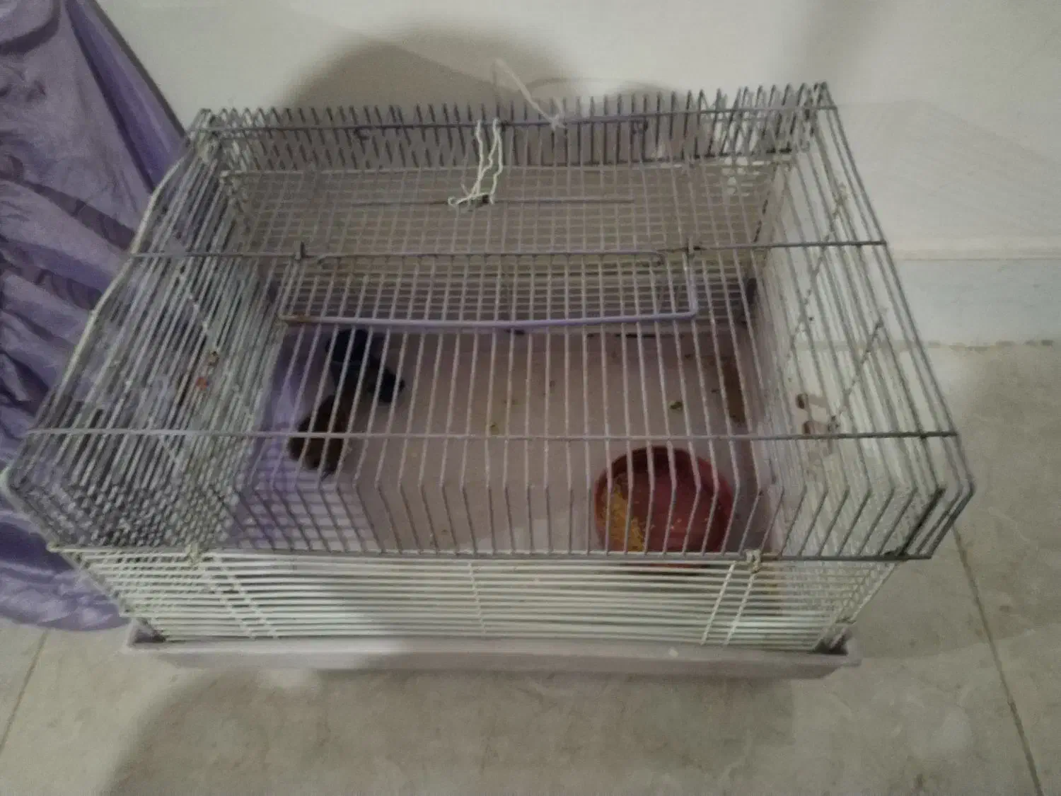 فروش قفس خرگوش یا معاوضه با قفس سهره|لوازم جانبی حیوانات|بومهن, |دیوار