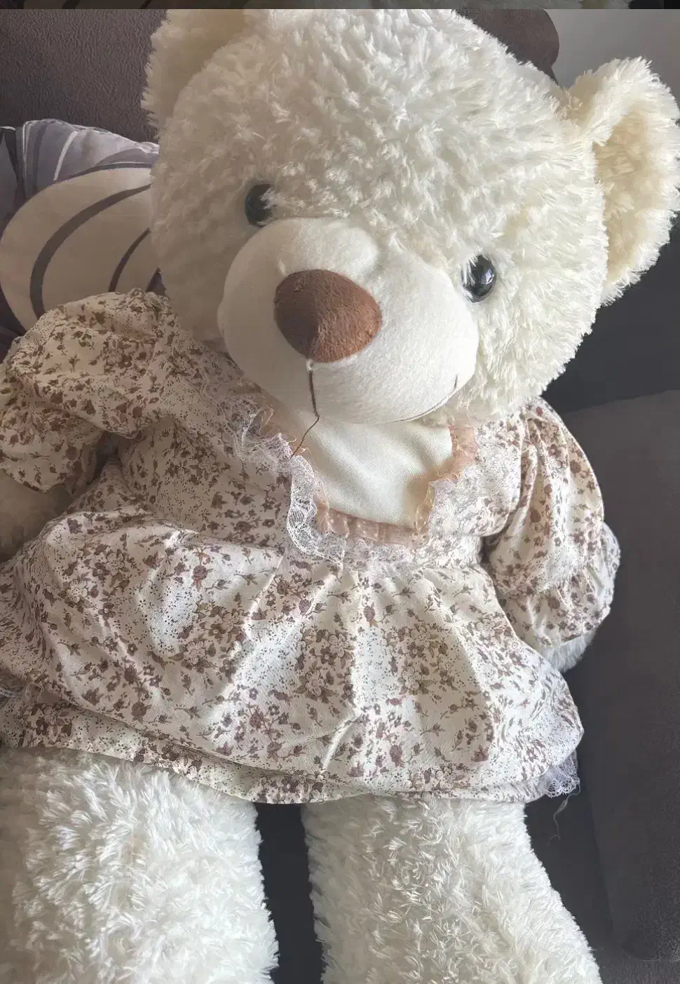 خرس متوسط کوچک|اسباببازی بچه|پردیس, فاز ۲|دیوار