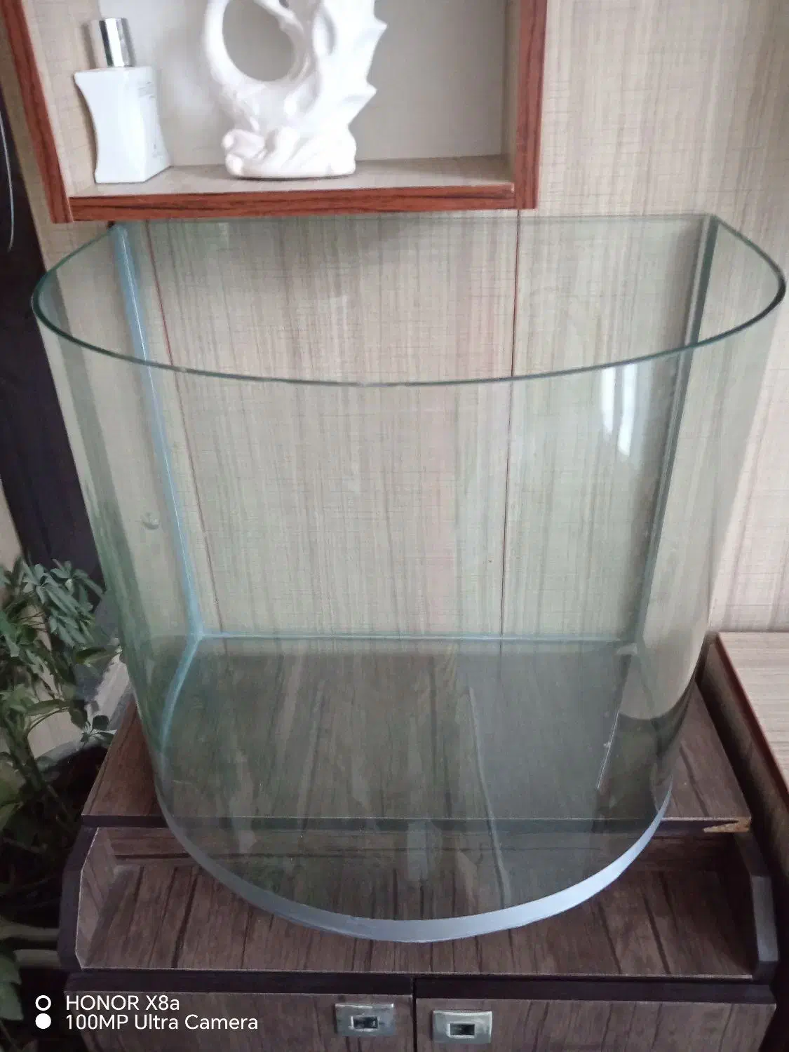 آکواریوم نیم دایره|ماهی|کازرون, |دیوار