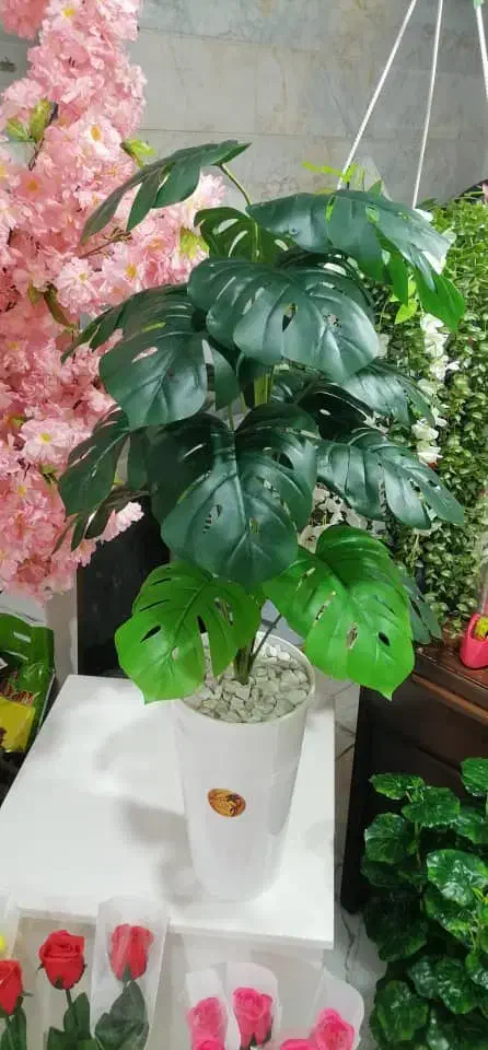 درختچه مصنوعی|گل مصنوعی|رباطکریم, رباطکریم|دیوار