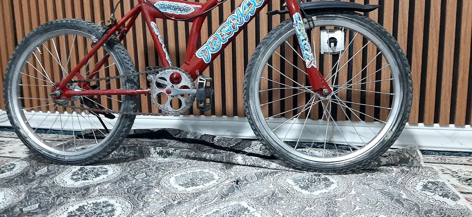 دوچرخه ۲۰|دوچرخه، اسکیت، اسکوتر|پاکدشت, شهرک امام رضا|دیوار