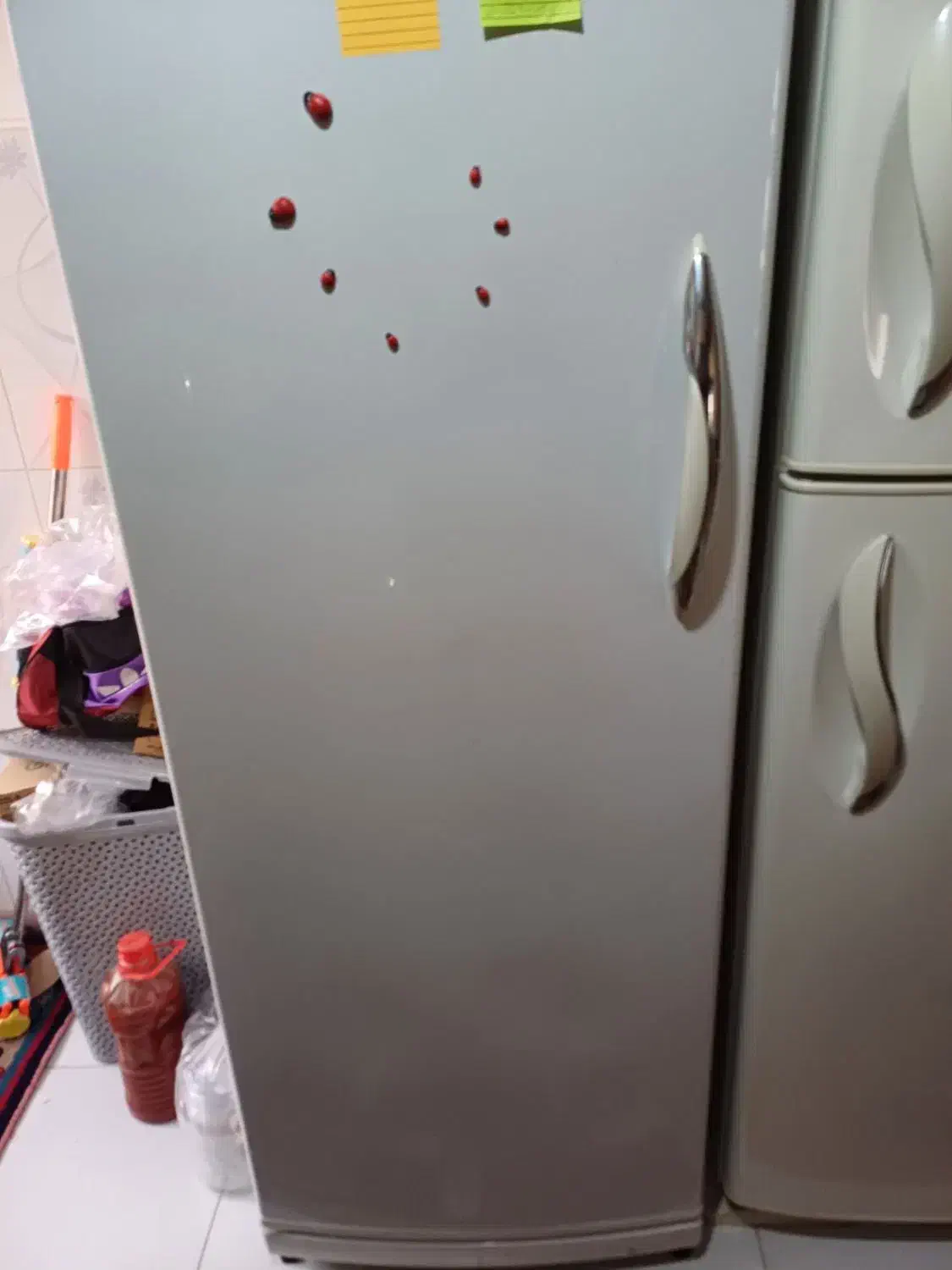 فریزر پارس|یخچال و فریزر|تهران, شهرک فردوس (حسینی)|دیوار