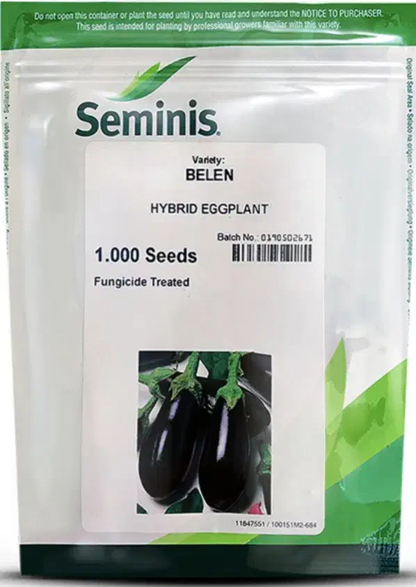 ((نشا))|گل و گیاه طبیعی|جیرفت, |دیوار