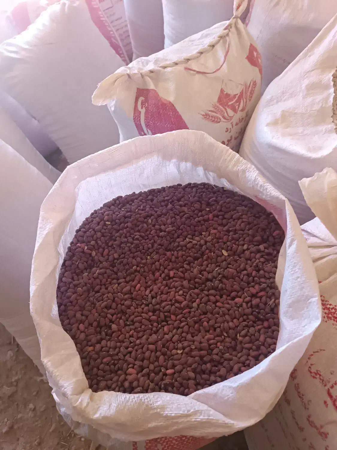 لوبیا قرمز درجه یک|خوردنی و آشامیدنی|کیار, |دیوار