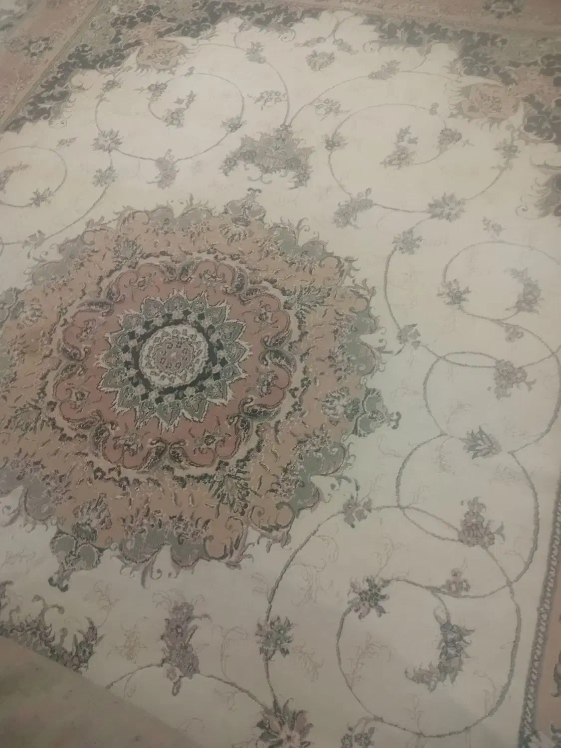 فرش ۱۲ متری|فرش|گرگان, |دیوار