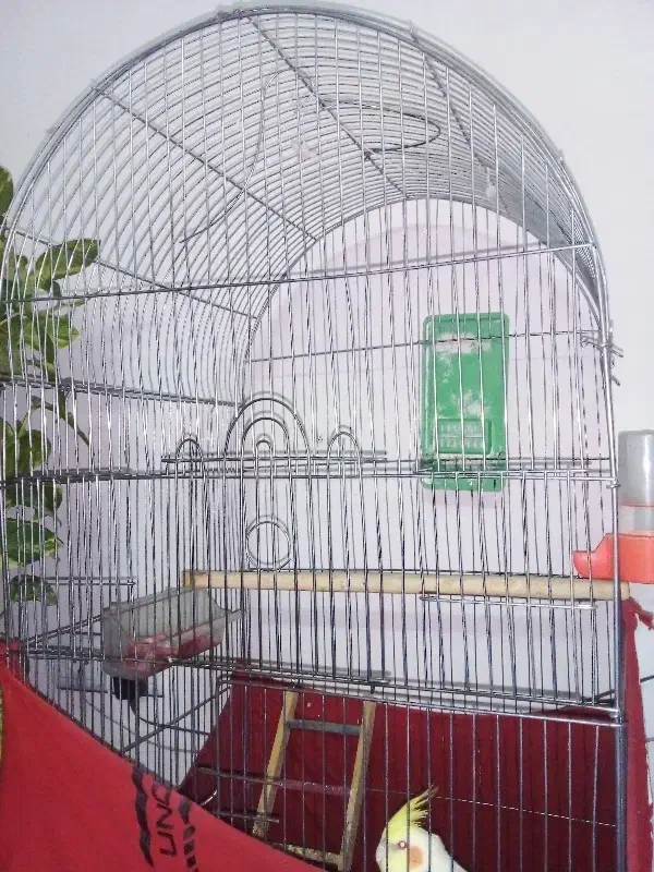 قفس پرنده|لوازم جانبی حیوانات|شهر ری, دولت‌آباد|دیوار