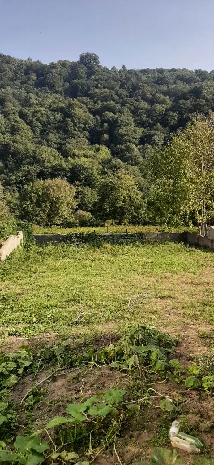 فروش زمین سند دار کاملا بافت مسکونی در سوادکوه|فروش زمین و ملک کلنگی|زیرآب, |دیوار