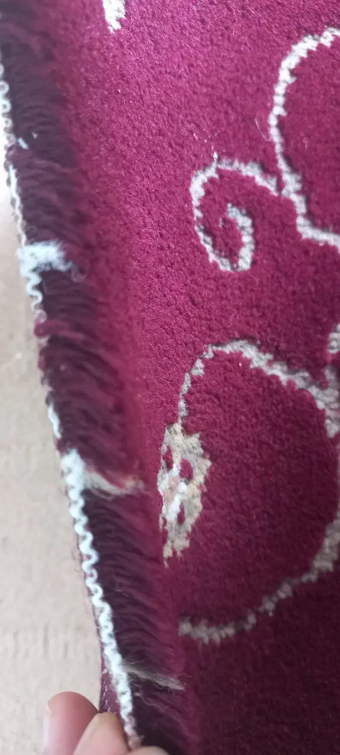 فرش|فرش|تفت, |دیوار