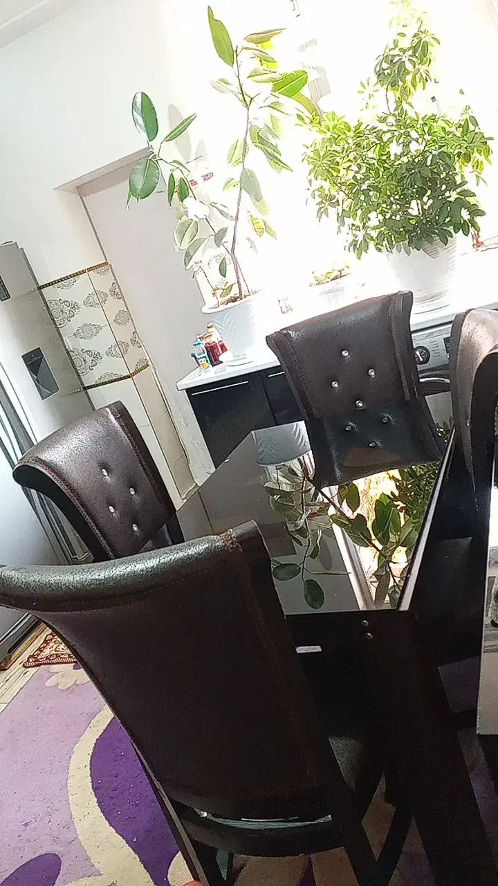 میز غذا خوری ۴ نفره در حد نو|میز و صندلی غذاخوری|میاندوآب, |دیوار