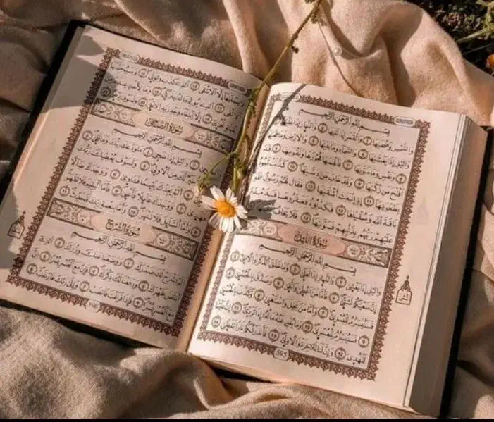 لطفاً بخونید|خدمات پذیرایی، مراسم|ری, تقی آباد|دیوار