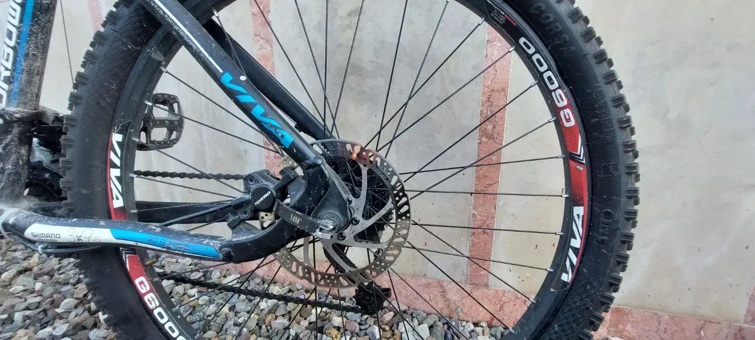 دوچرخه ویوا ۲۶|دوچرخه، اسکیت، اسکوتر|سلمانشهر, |دیوار