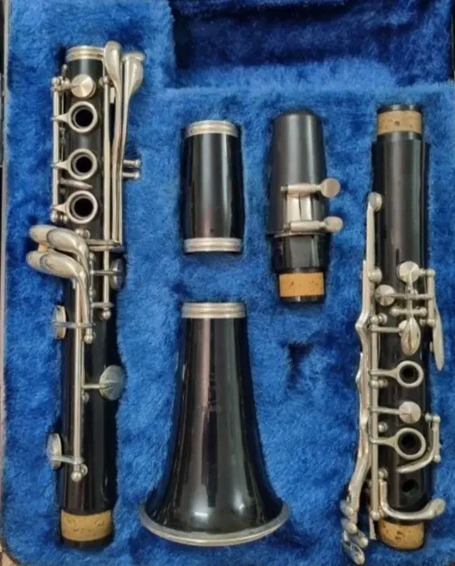 دو عدد کلارینت اصل ژاپنی یاماها|سازهای بادی|تهران, استاد معین|دیوار
