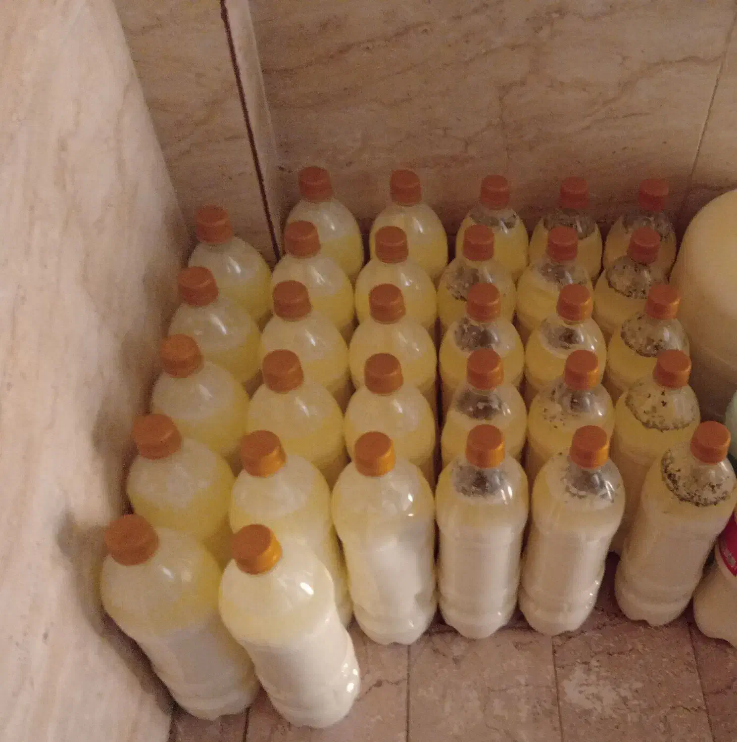 دوغ محلی|خوردنی و آشامیدنی|تهران, سبلان (لشگر)|دیوار