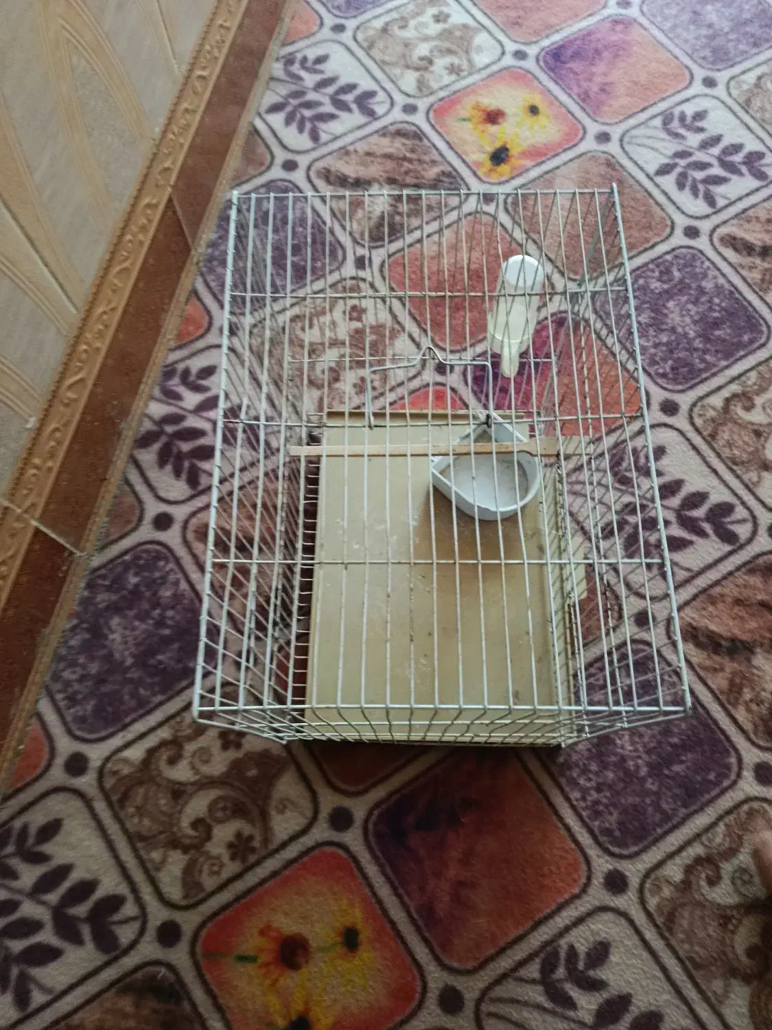 قفس|لوازم جانبی حیوانات|زهک, |دیوار