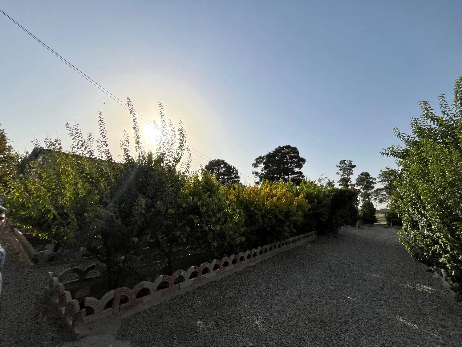 زمین شهرک صنعتی پاسارگاد(کاظم اباد)|فروش دفتر صنعتی، کشاورزی، تجاری|رباطکریم, شهرک صنعتی پاسارگاد|دیوار