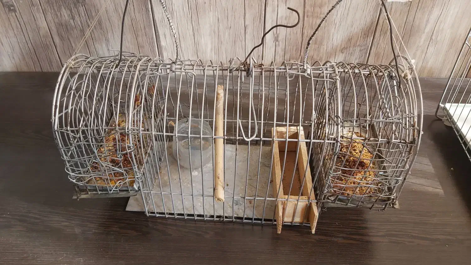 قفس .تله.قفس جفتی قناری.تله دو درب سالم|لوازم جانبی حیوانات|شیراز, شهرک گلستان|دیوار