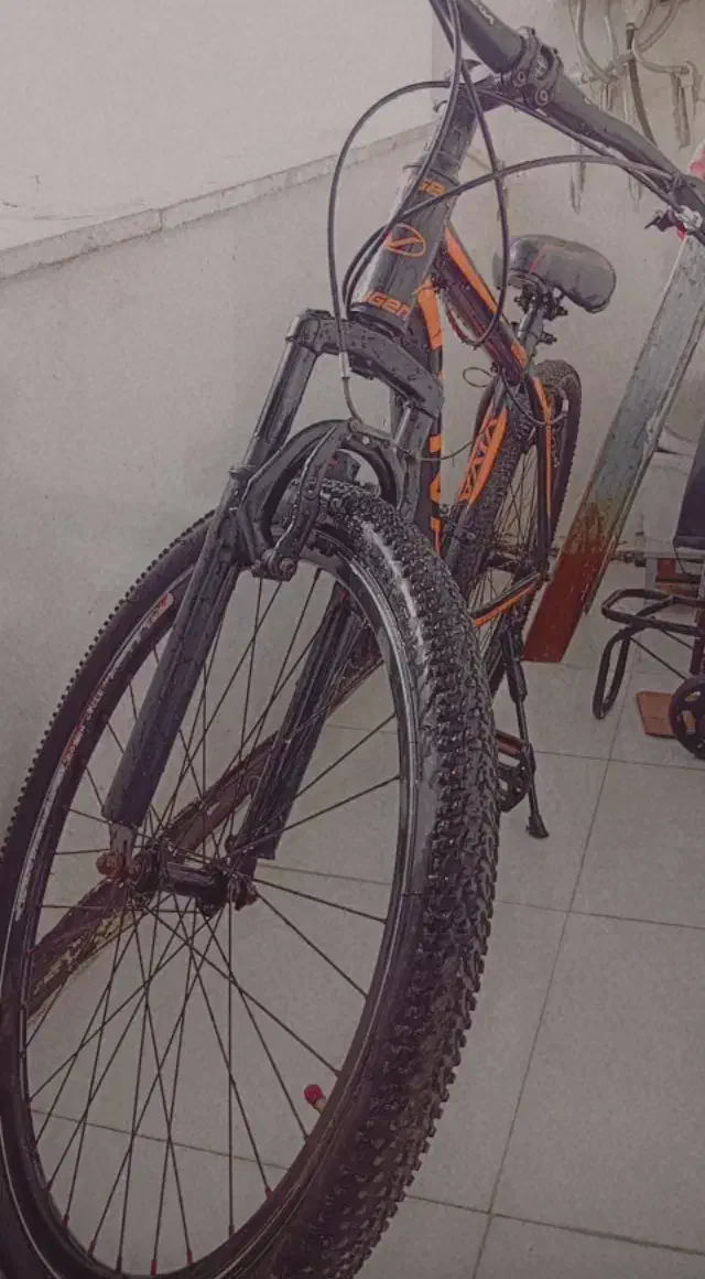 دوچرخه ۲۶|دوچرخه، اسکیت، اسکوتر|پرند, فاز ۴|دیوار