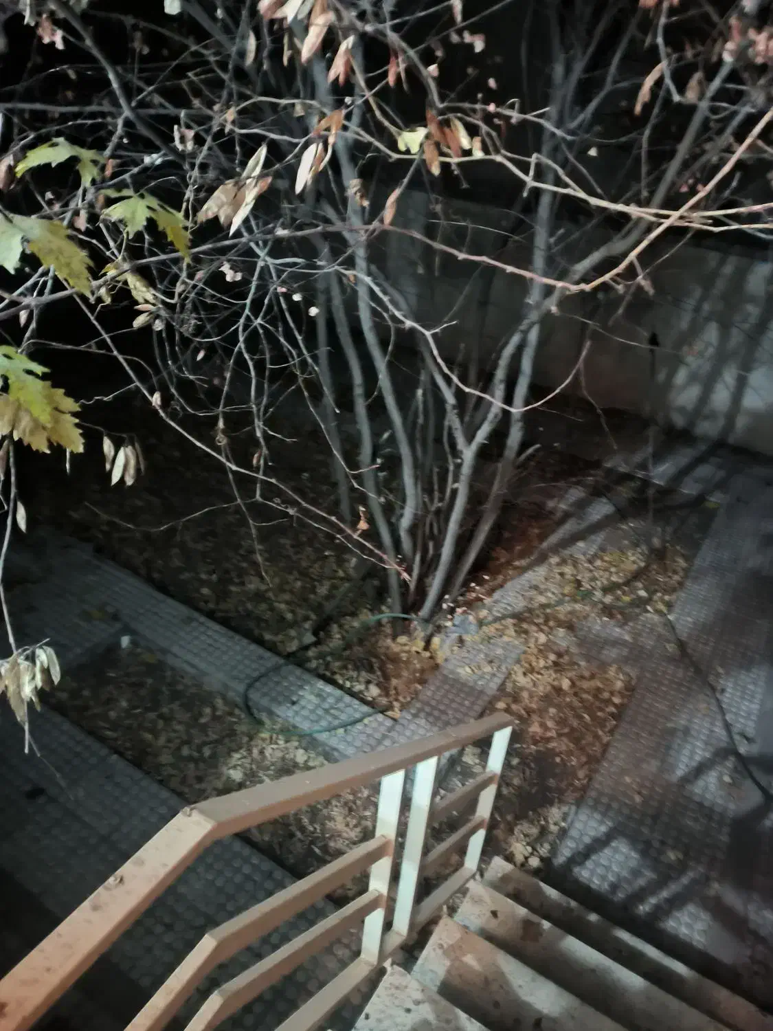 ۱۰۰ متر دو خواب طبقه اول با ۱۰۰ متر حیاط مستقل