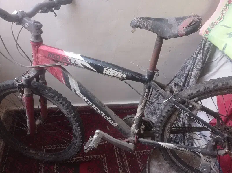 دوچرخه سایز 24|دوچرخه، اسکیت، اسکوتر|تهران, آهنگران (سراسیاب دولاب)|دیوار