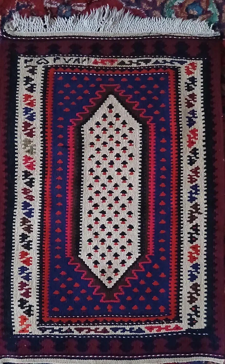 گلیم|گلیم، جاجیم، گبه|تهران, دکتر هوشیار|دیوار