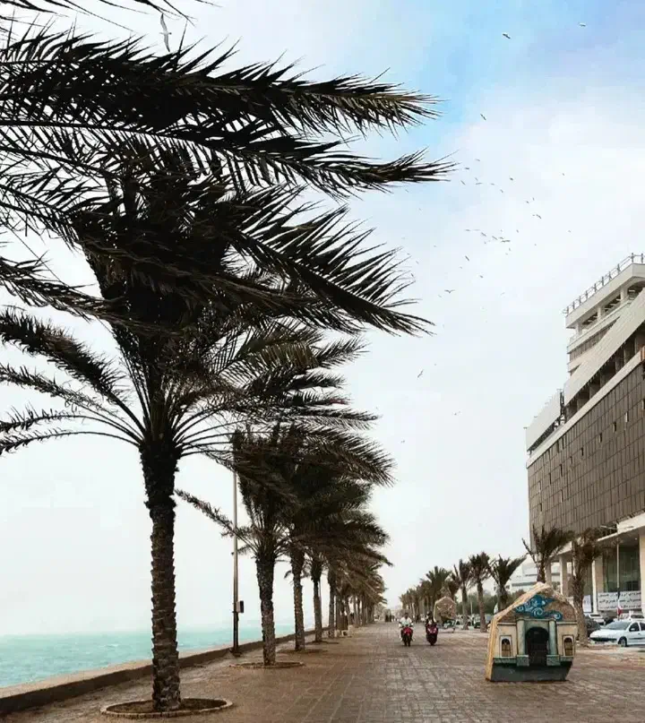 تور گردشگری بوشهر|تور و چارتر|امیدیه, |دیوار