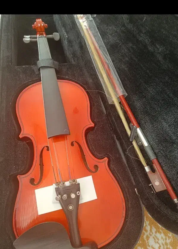 ویالون نو|ویولن|شیراز, شهرک والفجر|دیوار