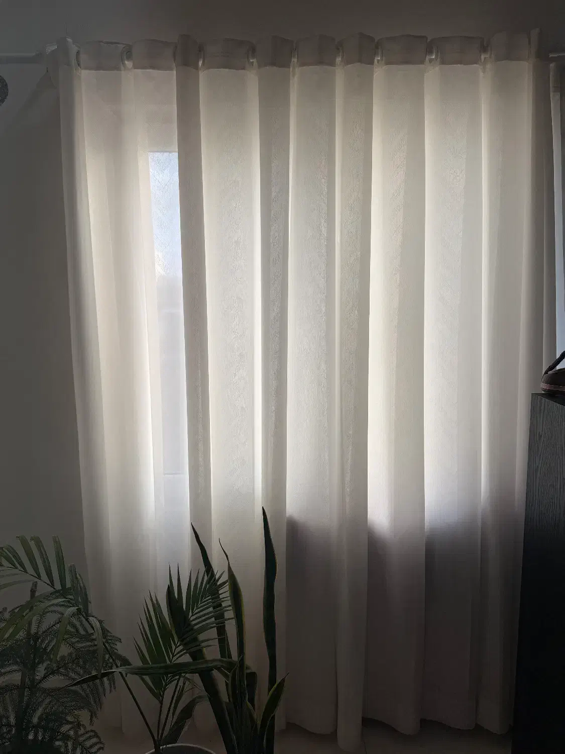 پرده سالم دوعدد با استر|پرده، رانر، رومیزی|رشت, سلیمانداراب|دیوار