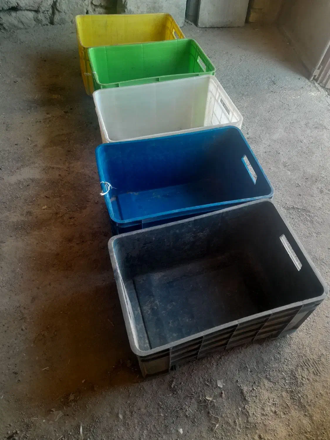 سبد|ظروف نگهدارنده، پلاستیکی، یک‌بارمصرف|داران, |دیوار