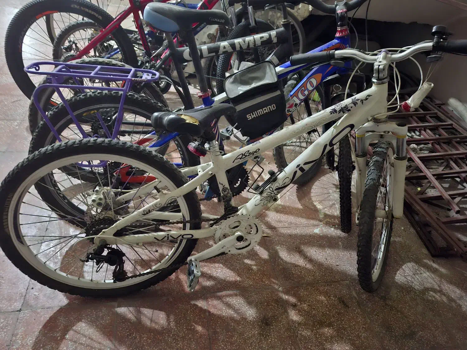 دوچرخه ۲۴ اصلی ویوو|دوچرخه، اسکیت، اسکوتر|بندر ماهشهر, |دیوار