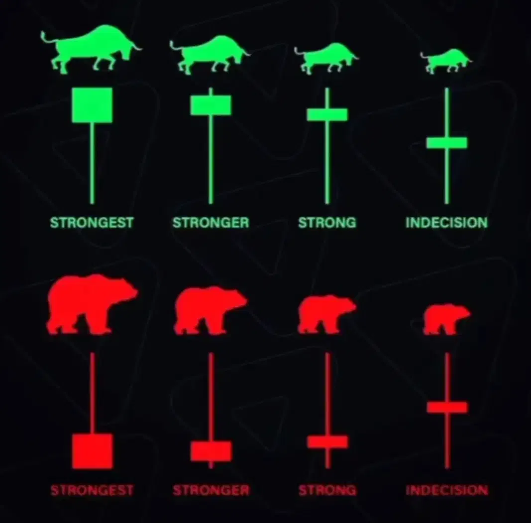 آموزش حرفه ای رمز ارز دیجیتال /فارکس /بورس /تضمینی|خدمات آموزشی|تبریز, |دیوار