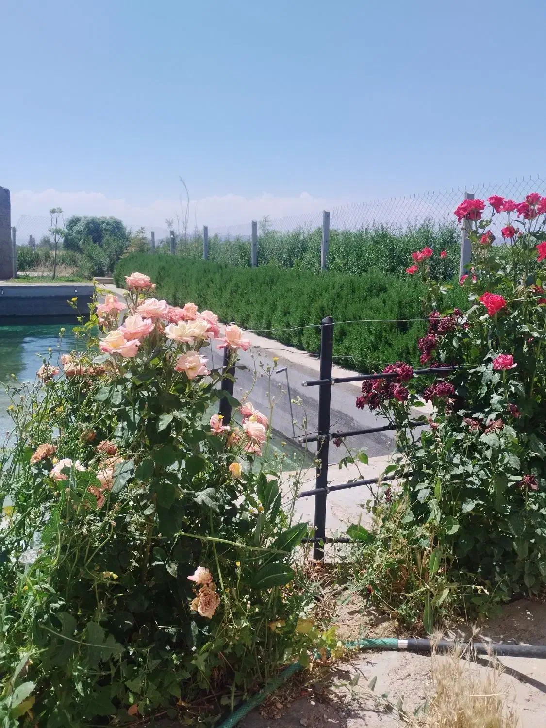 باغ ویلا|فروش خانه و ویلا|ابهر, |دیوار