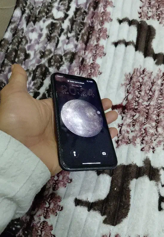 iphone 11|موبایل|شیراز, ریشمک|دیوار