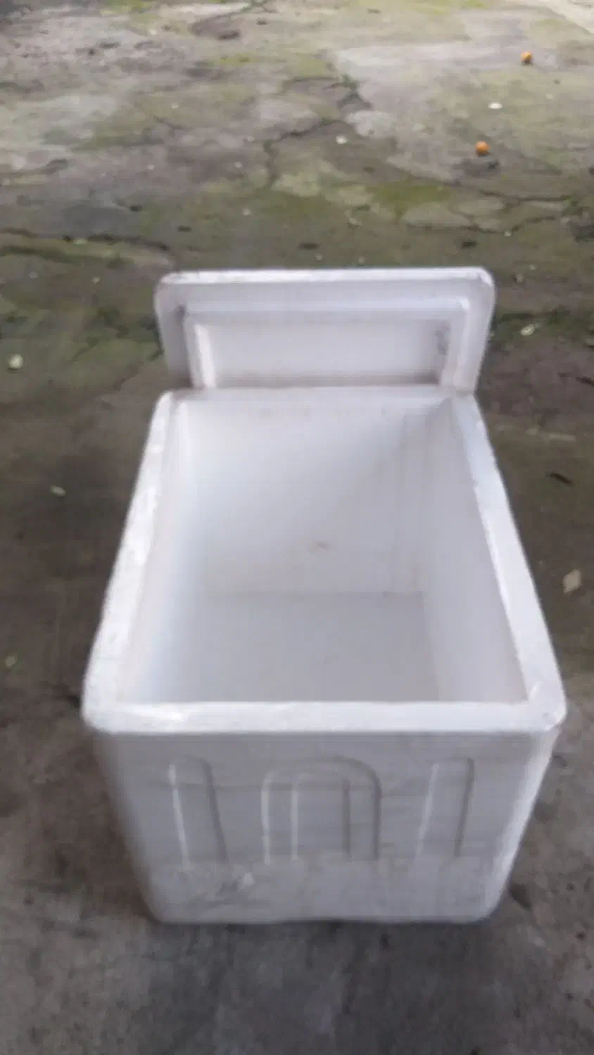 یخدان سایز ۱۰|ظروف نگهدارنده، پلاستیکی، یک‌بارمصرف|آستارا, |دیوار