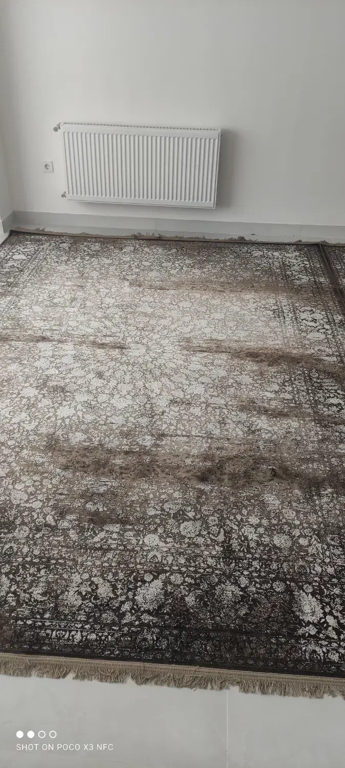 فرش نو و تازه|فرش|قروه, |دیوار