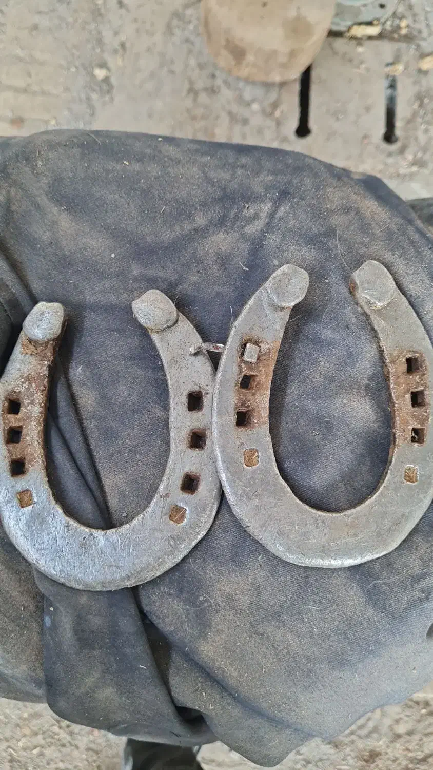 نعل کهنه اسب|اسب و تجهیزات اسبسواری|اصفهان, رسالت|دیوار