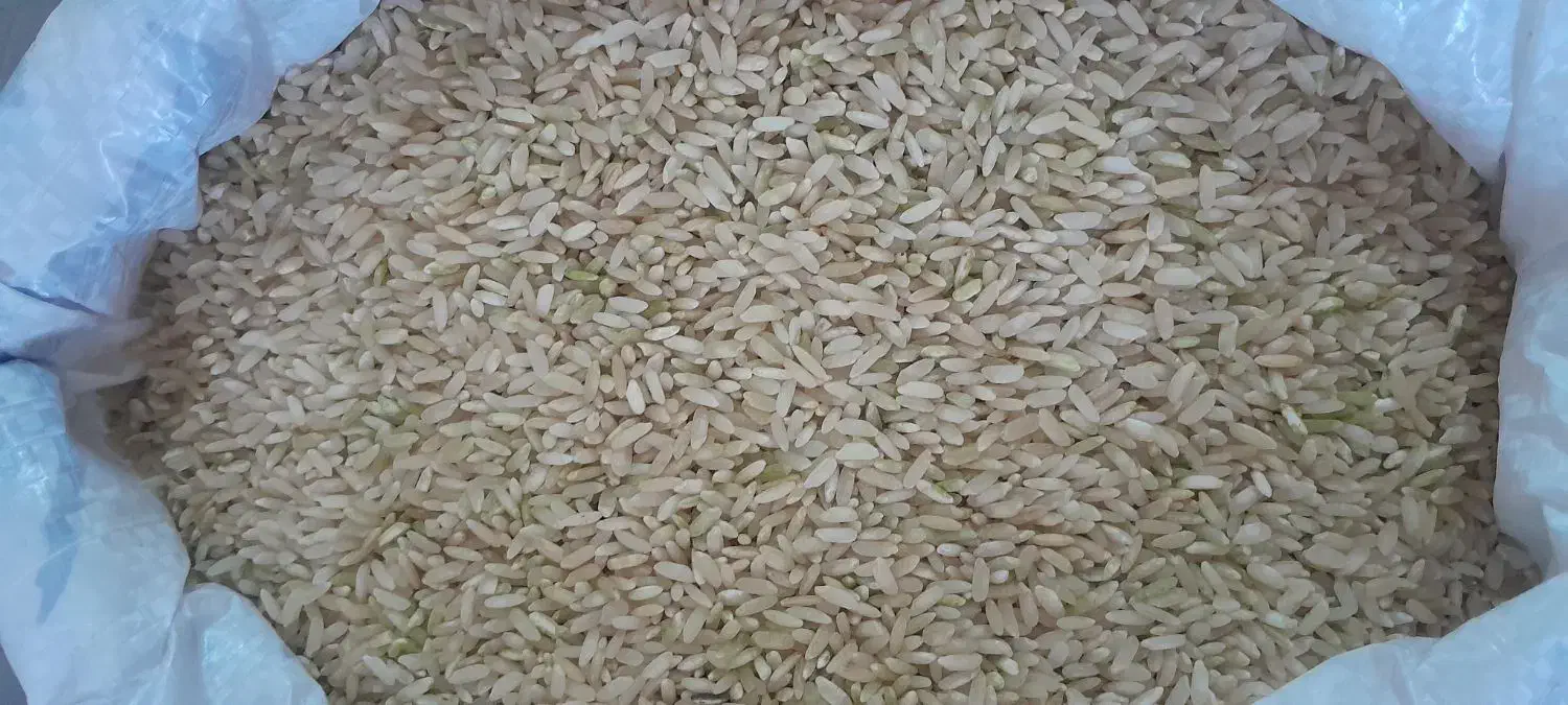 برنج چمپا 1|خوردنی و آشامیدنی|یاسوج, |دیوار