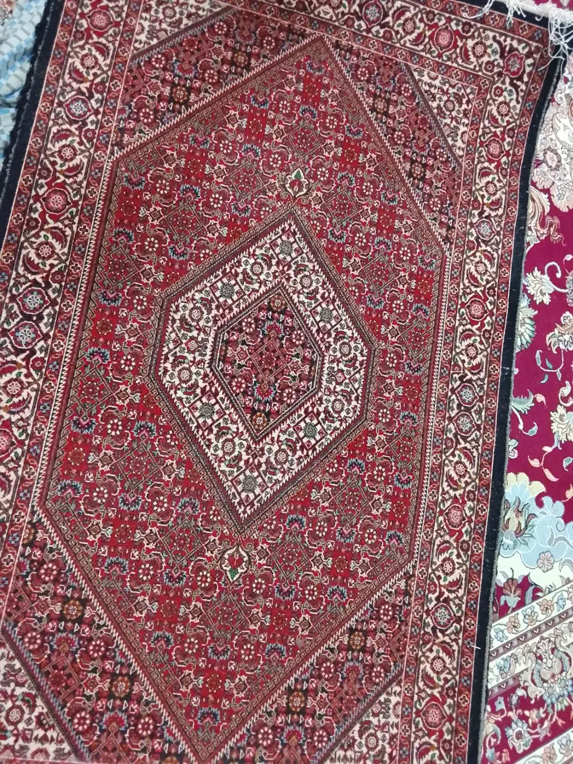 فرش زرنیم|فرش|ایجرود, |دیوار