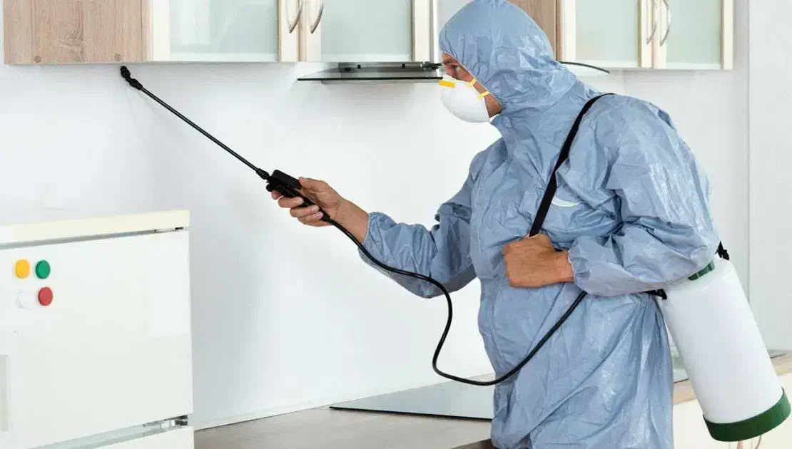 سم پاشی بابهترین مواد بهترین قیمت|خدمات نظافت|زاهدان, |دیوار