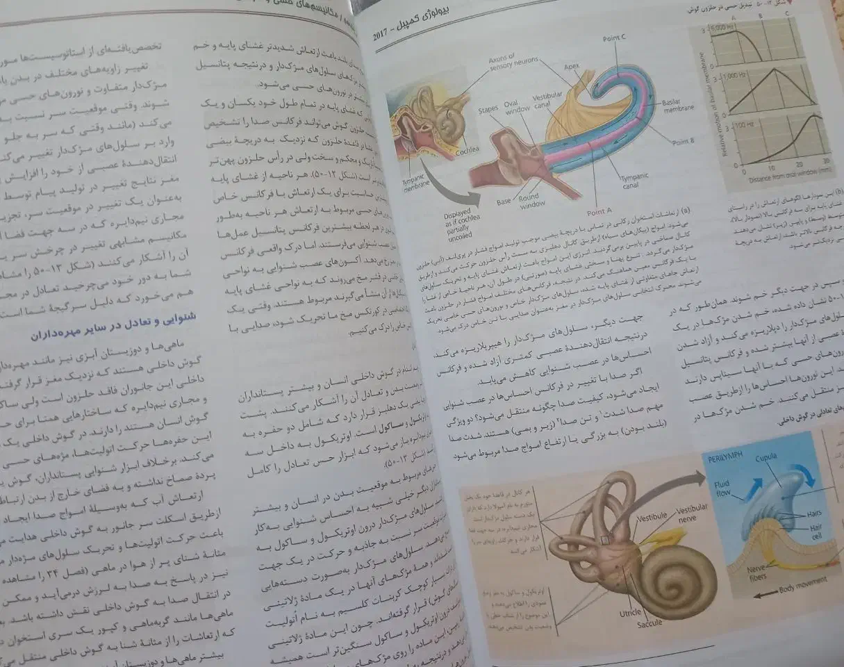 زیست شناسی کمپبل|کتاب و مجله آموزشی|ساری, |دیوار