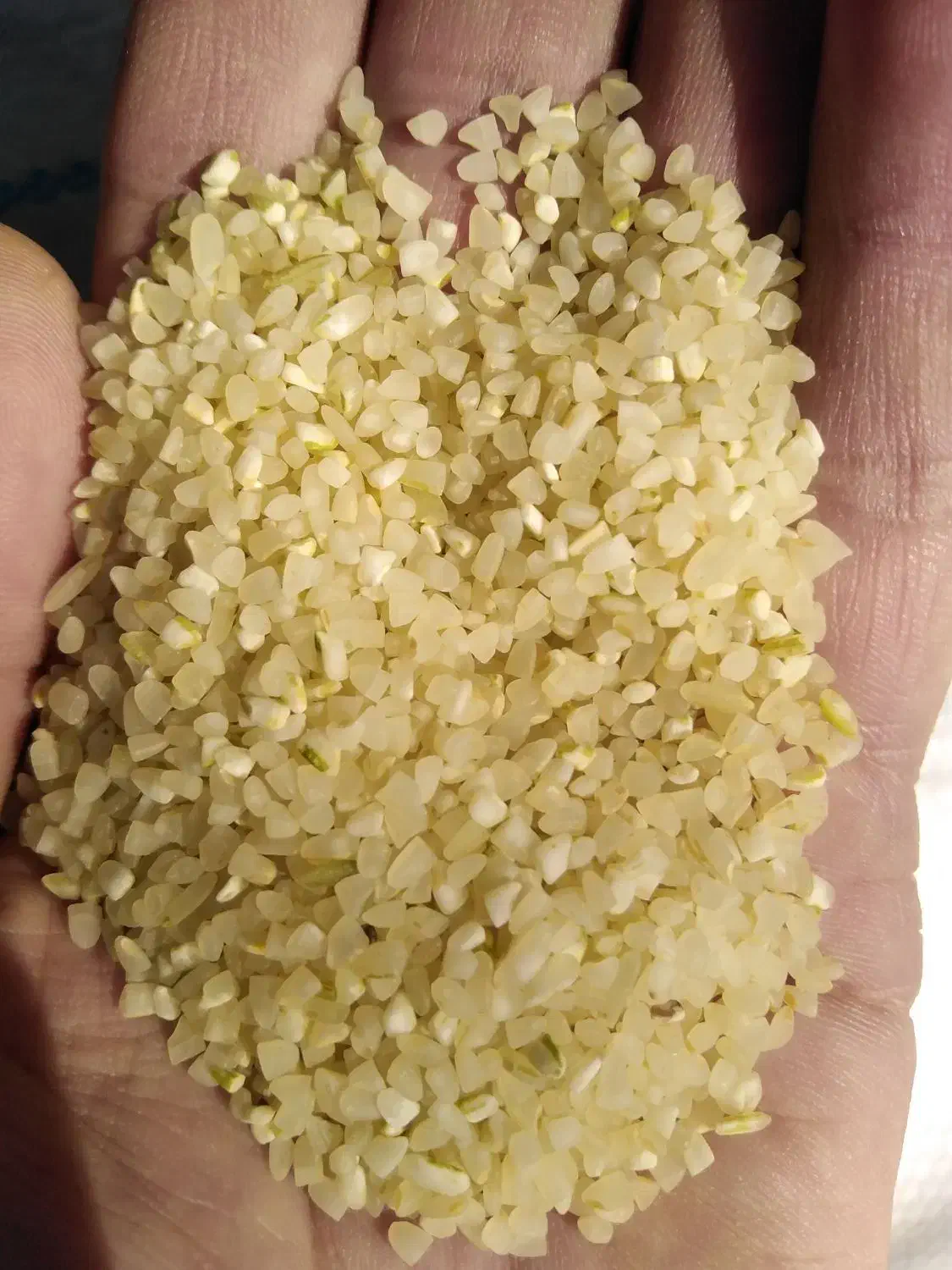 برنج کامفیروزی نو|خوردنی و آشامیدنی|شیراز, پشم شیشه|دیوار