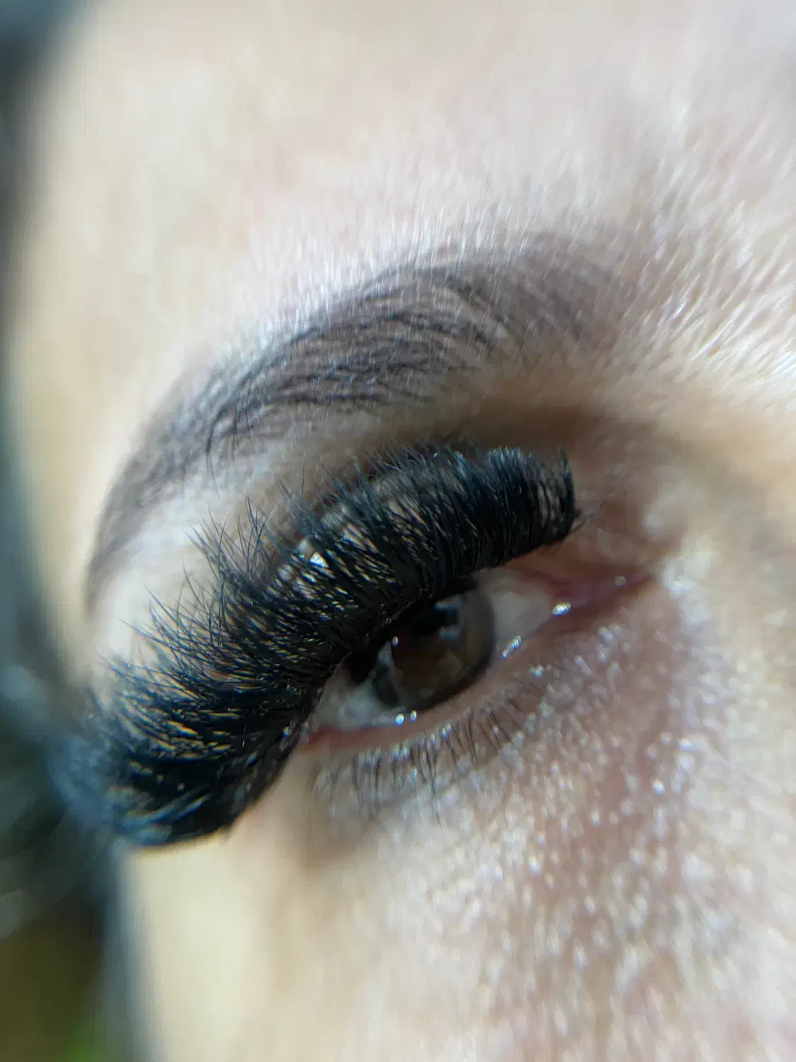 اف باورنکردنی آموزش کاشت مژه|خدمات آرایشگری و زیبایی|خمام, |دیوار